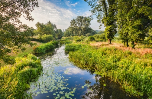 SuffolkVenue Finder'